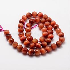 Natural Sun Tiger Eye Bead Strands&nbsp;G-O155-01B-6mm
