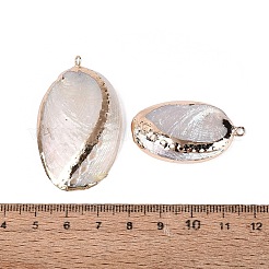 Electroplate Natural Paua Shell Pendants&nbsp;SSHEL-Q100-15KCG