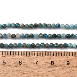 Natural Apatite Beads Strands&nbsp;G-RM241221-B12