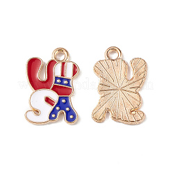 Independence Day Alloy Enamel Pendants&nbsp;ENAM-K067-32
