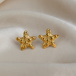 304 Stainless Steel Stud Earrings for Women&nbsp;DT4159