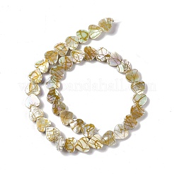 Drawbench Style Natural Freshwater Shell Beads Strands&nbsp;SHEL-F003-03