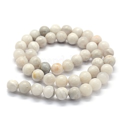 Natural White Crazy Lace Agate Beads Strands&nbsp;G-G763-11-6mm