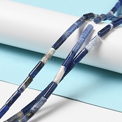 天然石ソーダライトビーズ連売り  チューブ  12x4mm  穴：1.2mm  約32個/連  15.55''（39.5センチメートル）&nbsp;G-P489-02