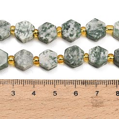 Natural Green Spot Jasper Beads Strands&nbsp;G-F833-B05-01