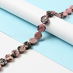 Natural Rhodonite Beads Strands&nbsp;G-D475-01L