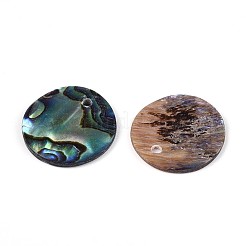 Natural Paua Shell Disc Charms&nbsp;SHEL-ZX010-06-A