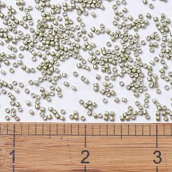 MIYUKI Delica Beads&nbsp;SEED-JP0008-DB1181