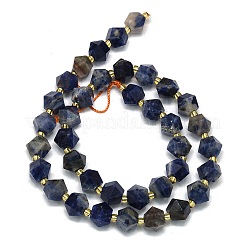 Natural Sodalite Beads Strand&nbsp;G-I376-A22-01