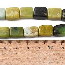 Natural Serpentine Beads Strands&nbsp;G-D098-D06