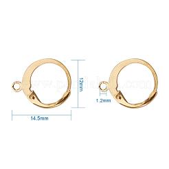 304 Stainless Steel Leverback Earring Findings&nbsp;STAS-G081-62G