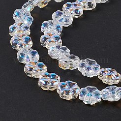 Transparent Electroplate Glass Beads Strands&nbsp;EGLA-E030-01M