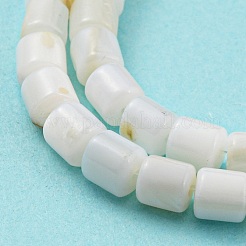Natural Freshwater Shell Beads Strands&nbsp;SHEL-F008-04A