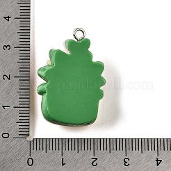 Opaque Resin Pendants&nbsp;CRES-D307-08P-B