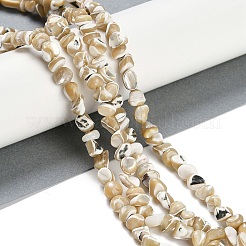 Natural Trochus Shell Beads Strands&nbsp;BSHE-H109-10