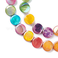 Natural Freshwater Shell Beads Strands&nbsp;BSHE-E028-01