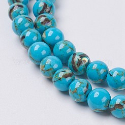 Sea Shell and Synthetic Turquoise Assembled Beads Strands&nbsp;X-G-G758-04-10mm