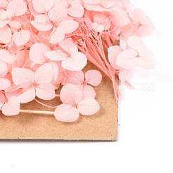 ドライフラワー  ブライダルシャワー用  結婚式  保存された生花  ピンク  210x148x14~24.5mm&nbsp;DIY-B018-09