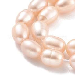 Natural Cultured Freshwater Pearl Beads Strands&nbsp;PEAR-P062-10G