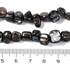 Natural Freshwater Shell Beads Strands&nbsp;BSHE-S304-06