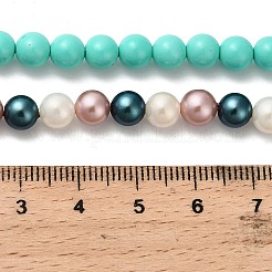 ラウンドシェルパールビーズ連売り  ミックスカラー  6mm  穴：0.6mm  約60個/連  16.14''（41センチメートル）&nbsp;BSHE-XCP0001-81