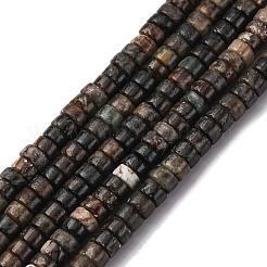 Natural Biotite Beads Strands&nbsp;G-L624-I12-2x4mm