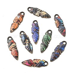 24Pcs 12 Colors Zinc Alloy Pendants&nbsp;FIND-CJ0005-14