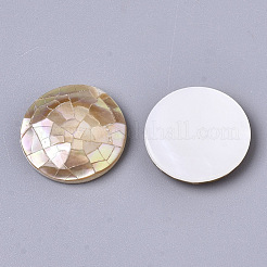 Natural Sea Shell Cabochons&nbsp;SSHEL-N034-44
