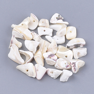 Sea Shell Beads&nbsp;SSHEL-T008-18-1
