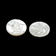 Carved Natural White Shell Cabochons&nbsp;SSHEL-N038-06B-04-2