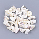 Sea Shell Beads&nbsp;SSHEL-T008-18-1