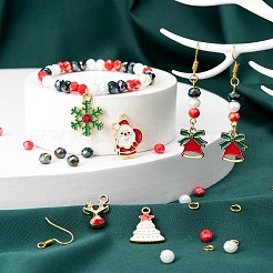 DIY 4 Pairs Earring/Bracelets Making Kits&nbsp;DIY-FS0001-41