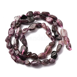 Natural Plum Blossom Tourmaline Beads Strands&nbsp;G-K395-A05-01