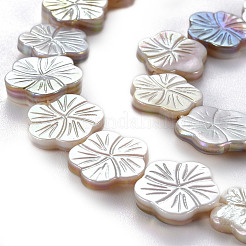 Electroplated Natural Freshwater Shell Beads Strands&nbsp;SHEL-N026-164