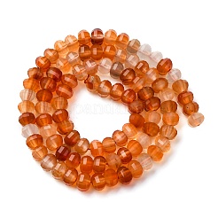 Natural Carnelian Beads Strands&nbsp;G-P587-D06-01