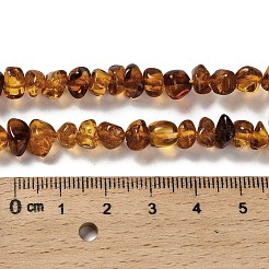 天然琥珀ビーズ連売り  ナゲット  タンブルストーン  6~9x6~7x4.5~7mm  穴：0.6mm  約82~83個/連  14.76インチ（37.5cm）&nbsp;G-L095-L01-02