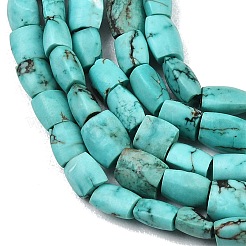 Dyed Natural Crackle Turquoise Beads Strands&nbsp;G-K365-G03-02