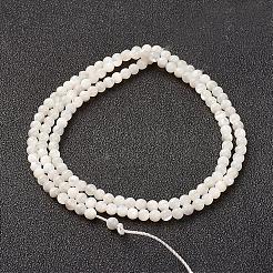 天然ホワイトシェルビーズ連売り  マザーオブパールシェル  ラウンド  3mm  穴：0.8mm  約127個/連  15.15インチ（38.5cm）&nbsp;G-G680-54
