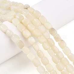 Natural White African Opal Beads Strands&nbsp;G-N346-04A-10