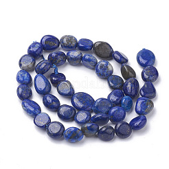 Natural Lapis Lazuli Beads Strands&nbsp;G-Q961-25
