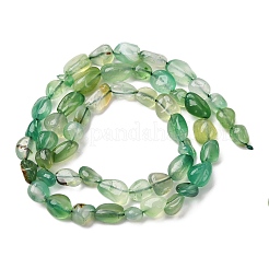 Natural Green Onyx Agate Beads Strands&nbsp;G-K395-A08-01