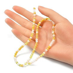 Transperant Electroplate Glass Beads Strands&nbsp;GLAA-YW0003-21