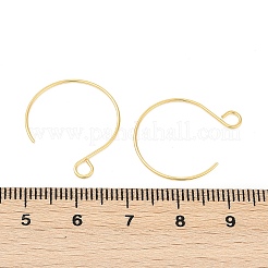 304 Stainless Steel Earring Hooks&nbsp;STAS-L216-02A-G01