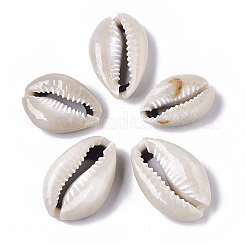 Natural Cowrie Shell Beads&nbsp;LS-SSHEL-N034-33