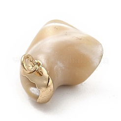 Baroque Natural Trochus Shell Pendants&nbsp;PEAR-P004-51KCG