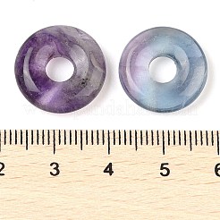 天然石蛍石ペンダント  ドーナツ/円盤チャーム  16x4.5mm  穴：5mm&nbsp;G-C066-02-02