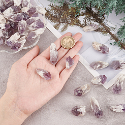 Raw Rough Natural Amethyst Beads&nbsp;G-WH0016-34