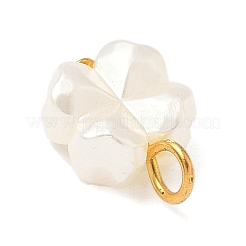 Plastic Pearl Charms&nbsp;PALLOY-JF04027-02