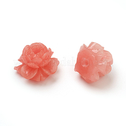 Shell Beads&nbsp;CORA-D032-16