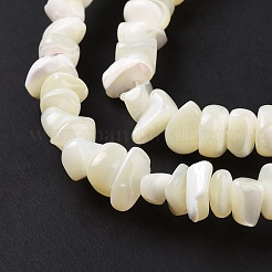 天然石シーシェルビーズ連売り  漂白  チップ  ホワイト  5~16x5~16x4.5~1~8mm  穴：0.5~0.7mm  約97~124個/連  15.35インチ〜15.94インチ（39cm〜40.5cm）&nbsp;SSHEL-S278-132